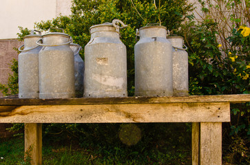 A group of ancient, meta  milk cans on a table, vintage