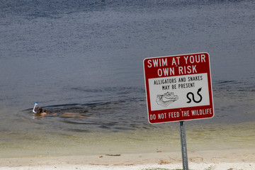 Warning sign at a Florida lake: Swim At Your Own Risk, Alligators and Snakes May Be Present