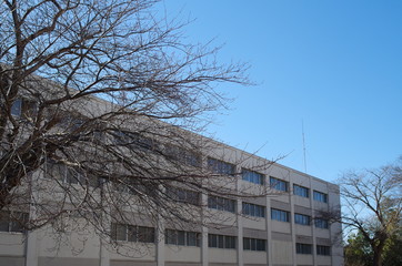 白いビルと青空