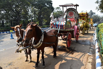 Naklejka na ściany i meble インドのコルカタの街並み　道路に停車中の馬車　出発を待つ可愛い馬
