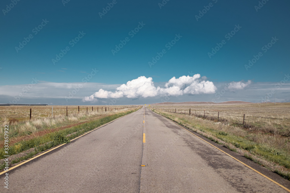 Wall mural road passing through dry fields