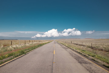 Road passing through dry fields
