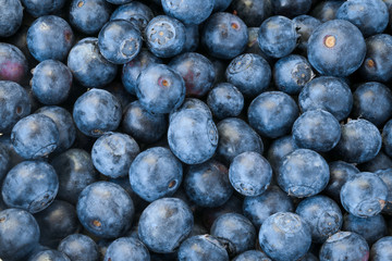 blueberries in a bowl