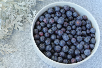 blueberries in a bowl
