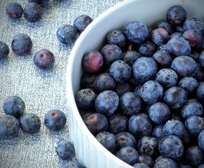 blueberries in a bowl