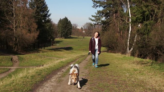 Girl walks in a city park with her dog. Young male dog runs in front of the mistress along the track, close portrait