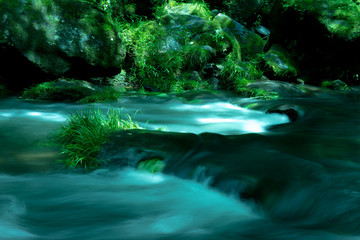 美しい川の流れ