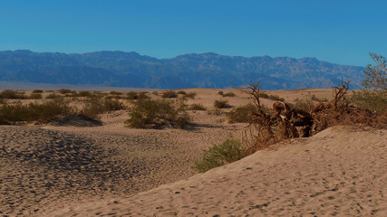 Sand Dunes at Death Valley National Park - Mesquite Flat Sand Dunes - USA 2017