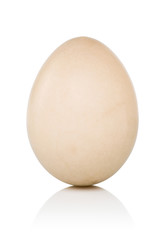 Duck egg isolated on white background