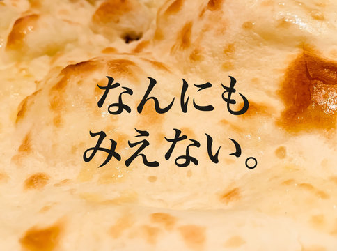 何にも見えない。（インド料理のナン）
