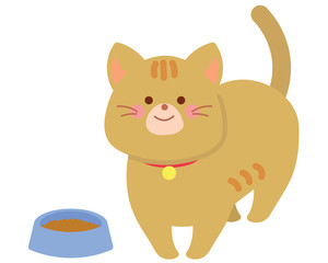 猫と餌