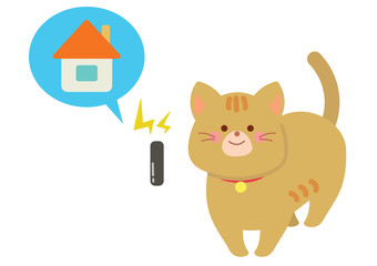 ネコとマイクロチップ