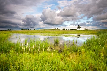 Foto op Plexiglas Clearing storm clouds over a wetland habitat. © Mark Baldwin