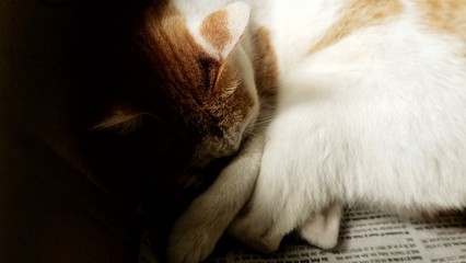 While she was sleeping