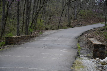 Scenic Road