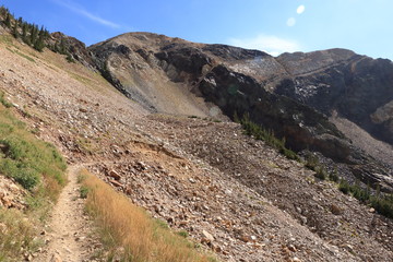 Fototapeta na wymiar Mark Malu trail crosses from alpine grasslands to barren slopes of the Wasatch Mountains
