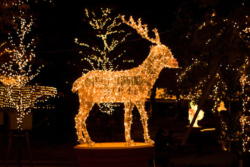 イルミネーション