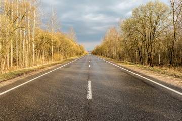 Straight wet asphalt road after a rain. On the sidelines are trees and bushes without foliage