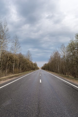 Straight wet asphalt road after a rain. On the sidelines are trees and bushes without foliage