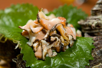 さざえ（サザエ）鮑（アワビ）