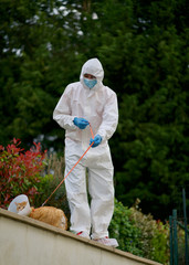 A man in a white antibacterial suit walks a cat for a walk, a red cat with a protective collar, a funny time but maybe this is the future © Christof