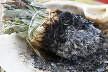 A close up image of a burning sage smudge stick used for energy clearing and healing. 