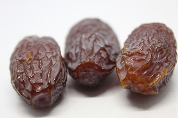 Fresh sweet medjool date from Arabia