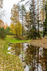 Obraz premium The wild area in beautiful forest in Autumn, Specular reflection in water, Valday national park, yellow leafs at the ground, Russia, golden trees, cloudy weather