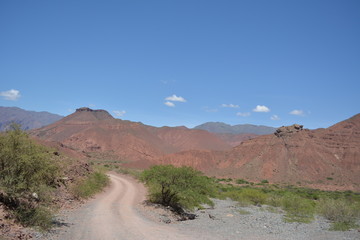 Carretera de tierra en paisaje rural