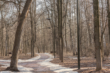 Road in the city park at spring day time.