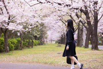 桜と女子学生