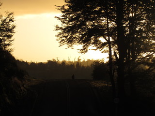 persona caminando en el atardecer