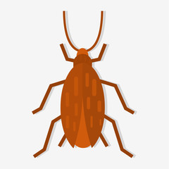 cockroach insect vector illustration in flat style