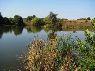 landscape with lake