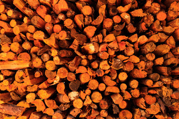 China's ancient ceramic production technology.