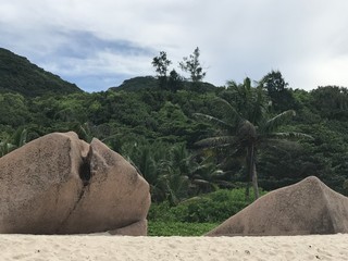 Plage des Seychelles. Oc&eacute;an indien. Une &icirc;le paradisiaque. 