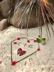 Voyage de noces aux Seychelles. Oc&eacute;an indien. 