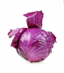 Obraz premium red cabbage isolated on white background