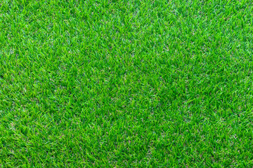 Green grass texture background, Top view of grass garden Ideal concept used for making green flooring, lawn for training football pitch, Grass Golf Courses green lawn pattern textured background.