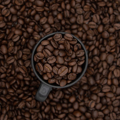 Coffee Cup and Roasted Coffee Beans