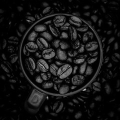 Coffee Cup and Roasted Coffee Beans