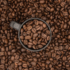 Coffee Cup and Roasted Coffee Beans