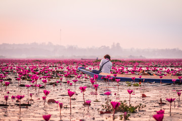 Sea of red lotus in the morning, Ban Dium, Udon Thani, THAILAND
