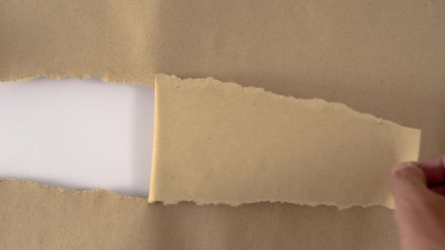 hand torn paper revealing blank space