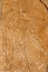 Ancient Egyptian god Anubis depicted with the head of a jackal, Anubis is the god of mummification