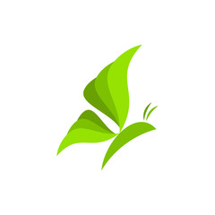 green leaf isolated on white background