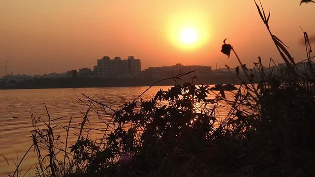 plants during sunset with red sky, sunset with landscape. Sunset in a field with straw grass. haloxylon tree on orange sunset background. Winter landscape - snow-covered bushes and trees against th


