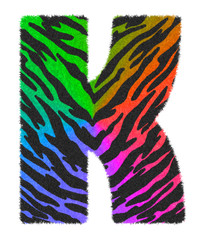 3D illustration Tiger black rainbow print letter K, animal skin fur decorative character K, Tiger 7 colors pattern isolate in white background has clipping path. Design font wildlife safari concept.