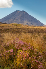 Landscape at Tongariro national park in New Zealand