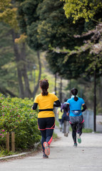 Fototapeta premium 春の公園でジョギングしている若い女性